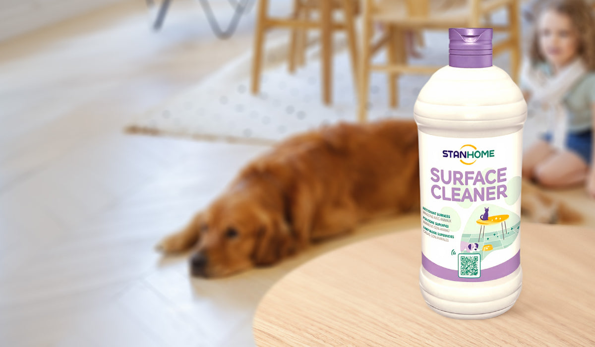 <p><strong>Pulizia impeccabile e rispetto per gli animali</strong></p>