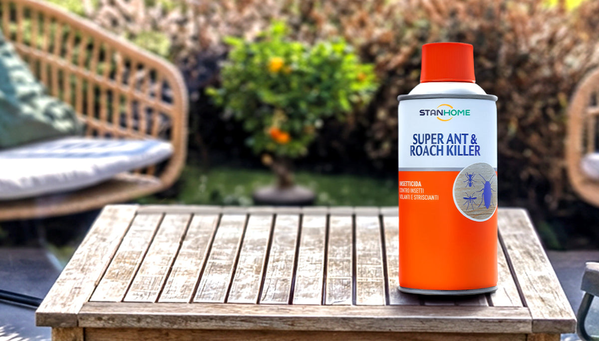 <p><strong>Offerta top -56%</strong></p>